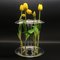 Aqua Vase - Ikebana for beginners by Kanz Architetti for KANZ, Image 2