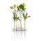Aqua Vase - Ikebana for beginners by Kanz Architetti for KANZ 1