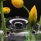 Aqua Vase - Ikebana for beginners by Kanz Architetti for KANZ 3