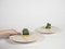 Orbita Centerpieces by gumdesign for La Casa di Pietra, Set of 2 4