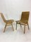 Vintage Plywood Chair by Roland Rainer, Set of 2 1