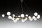 Black Nickeled Mimosa Chandelier with 27 Lights in White Milk Glass by Alberto Dona 1