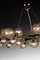 Black Nickeled Mimosa Chandelier with 42 Lights in Brass by Alberto Dona 4