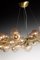 Lámpara de araña Mimosa con 42 luces de Mika Rose de Alberto Dona, Imagen 3