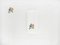 Manteles individuales y servilletas Colibri de The NapKing para Bellavia Ricami SPA. Juego de 4, Imagen 8