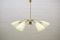 Mid-Century Sputnik Bi-Color Glass & Brass 6-Arm Ceiling Lamp 1