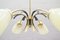 Mid-Century Sputnik Bi-Color Glass & Brass 6-Arm Ceiling Lamp 5