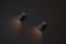 Lámparas de pared V-239 de Hans-Agne Jakobsson, años 60. Juego de 2, Imagen 2