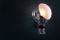 Female Spotted Jellyfish Wall Lamp by Blom & Blom, Image 3