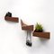 Medium Walnut Pelican Shelf with Hidden Hooks by Daniel García Sánchez for WOODENDOT, Image 6