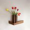 Medium Walnut Pelican Shelf with Hidden Hooks by Daniel García Sánchez for WOODENDOT, Image 9