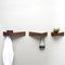 Medium Walnut Pelican Shelf with Hidden Hooks by Daniel García Sánchez for WOODENDOT 5