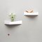 Medium White Pelican Shelf with Hidden Hooks by Daniel García Sánchez for WOODENDOT 7