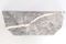 Consolle a semilina con ripiano in marmo Fior di Bosco, Italia, anni '50, Immagine 10