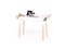 Large White My Writing Desk in Birch by etc.etc. for Emko 1