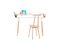 Large White My Writing Desk in Birch by etc.etc. for Emko 3