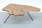 Mid-Century Viennese Tree Bark Coffee Table, 1950s 4