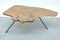 Mid-Century Viennese Tree Bark Coffee Table, 1950s 9