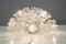 Nickel-Plated Dandelion Ceiling Lamp by Emil Stejnar for Rupert Nikoll, 1960s 4