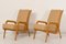 Easy Chairs by Cees Braakman for Pastoe, 1950s, Set of 2, Image 1