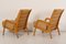 Easy Chairs by Cees Braakman for Pastoe, 1950s, Set of 2 3