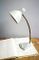 Desk Lamp in Light Gray, 1950s 1