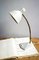 Desk Lamp in Light Gray, 1950s, Image 1