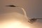 Modernist Snake-Shaped Acrylic Glass Desk Lamp, 1980s, Image 9