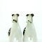 Sparring Foxterrier Figuren von Royal Dux, 1960er, 2er Set 13