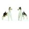 Sparring Foxterrier Figurines from Royal Dux, 1960s, Set of 2, Image 9