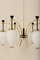 6-Light Chandelier by Bruno Gatta for Stilnovo, 1950s 9