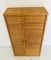 Armoire en Rotin 2-Portes, 1960s 9