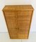 Italian Rattan 2-Door Cabinet, 1960s, Image 9