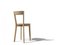 Chaise de Salle à Manger Mina Teinté Chêne Naturel par Tommaso Caldera pour WLegno 2