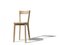 Mina Dining Chair Dyed in Natural Oak by Tommaso Caldera for WLegno 1