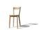 Mina Dining Chair Dyed in Natural Oak by Tommaso Caldera for WLegno, Image 1