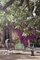Gardenias Outdoor Armlehnsessel mit grauer Pergola von Jaime Hayon für BD Barcelona 3
