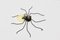 Mid-Century Italian Modern Metal and Glass Spider Wall Lamp, 1950s 4