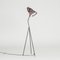 Giraffe Floor Lamp by Hans Bergström for Ateljé Lyktan, 1950s 1