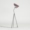 Giraffe Floor Lamp by Hans Bergström for Ateljé Lyktan, 1950s 2