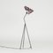 Giraffe Stehlampe von Hans Bergström für Ateljé Lyktan, 1950er 2