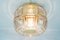 Golden Glass Flush Mount from Limburg, 1960s 4