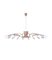 Norah Chandelier from BDV Paris Design furnitures 6