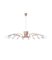 Norah Chandelier from BDV Paris Design furnitures 7