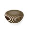 Bright Woods Collection Backlit Coffee Table in Wenge by Giancarlo Zema for Luxyde 1