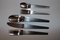 2060 Cutlery Set by Carl Auböck for Amboss, 1955, Set of 5, Image 2