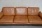 Vintage DS 61 Sofa in Cognac Leather from de Sede, Image 9