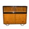 Bauhaus Bohemian Oak & Walnut Veneer Display Cabinet, 1930s, Image 4