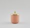 Orange Small Jar by Hend Krichen 1