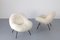 Sheepskin Lounge Chairs by Fritz Neth, 1960s, Set of 2 2
